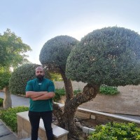 Mohammed Elsayed