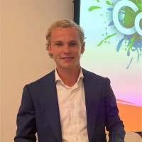 Pim Veltink