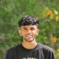 Vaisakh P
