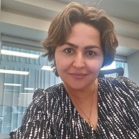 Mona Mohammadi