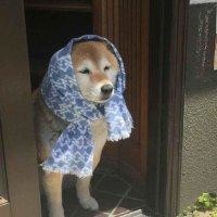 许梦瑶