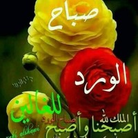 Abdelhamid KHERFI