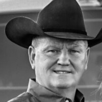 Joe Mcnutt