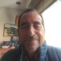 Luis Olivares Llop Luis  Olivares Llop