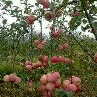 郝明龙