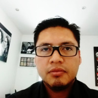 DAVID TORRES FLORES