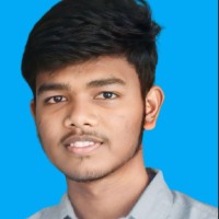 Vikash P