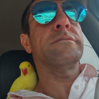 Alex Pervanje