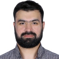 Amer Almadany
