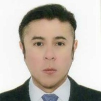 Pedro Emill Martinez M.