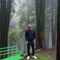 Bittu Prasad