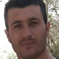 Gültekin Gül