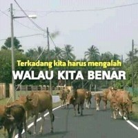 Yandi Lesmana