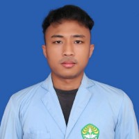 Brillian Rahadian Danuwirsya