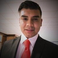 Ricardo Cestelos Briseño