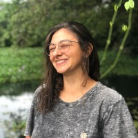 Bruna Haesbaert Dipp
