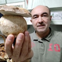 Fco Javier Aparicio Ortiz