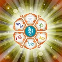 Ngu Quoc Vi