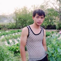 杨小路