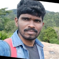 Raju P