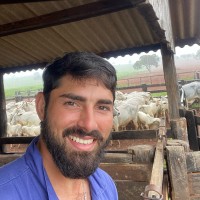 Michael Fernandes