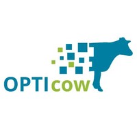 Opticow Zlto