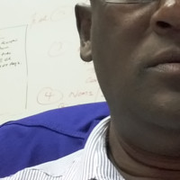 Strini Krishna