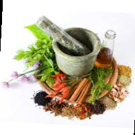 Traditional Medicines