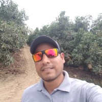Jean Manoel Aguilar Bustamante