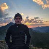 Vlad Mitu
