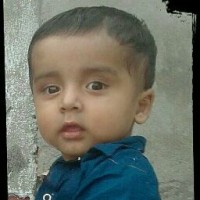 Hafiz Qarii Owais A.A