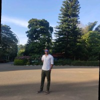 Sreenu Y