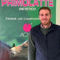 Andrea Rognoni