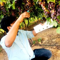 Sameer Babu