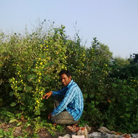 Jay Singh