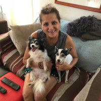 Tracy Schelkis