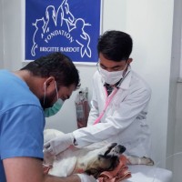 Abdul Mobin Samadi