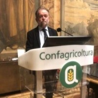 Alberto Faccioli