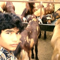m b jat
