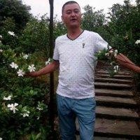 刘洪兵
