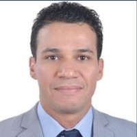 Amr Abd Elaal
