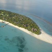 Dominic Francis