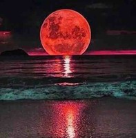 King Ashlee