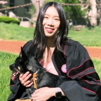 Elise Jing