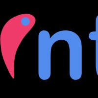 intellige recruitment team