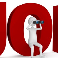 Jobs Consultant