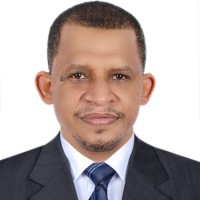 Mohamed Hamid
