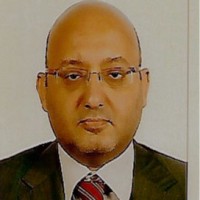 Bahaa Elbassiouni