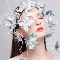 杨艳芳