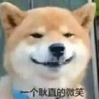 张振豪